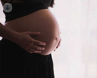 mujer embarazada reproduccion