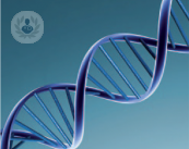 Un análisis genético permite detectar la probabilidad de desarrollar cáncer