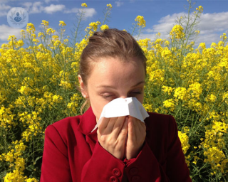 Las alergias han pasado de ser estacionales a multiestacionales incidiendo desde enero hasta julio siendo mayo el mes más alérgico del año.