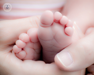 La inseminación artificial consiste en introducir espermatozoides en el útero para solucionar así problemas de fertilidad o evitar enfermedades de transmisión sexual.