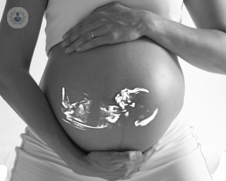 El objetivo de la inseminación artificial es acercar el esperma al óvulo