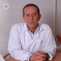 Dr. José María Vidal Martín de Rosales