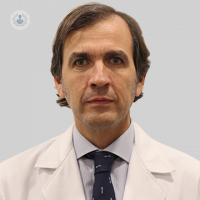 Dr. Francisco Javier Olarieta Soto