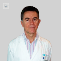 Dr. Manuel Vicente López Santamaría