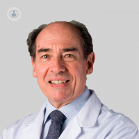 Dr. Vicente Molina Morales