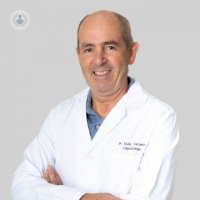 Dr. Luis Tercedor Sánchez