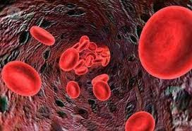 La anemia ferropénica es la más prevalente, afectando al 5% de la población mundial.