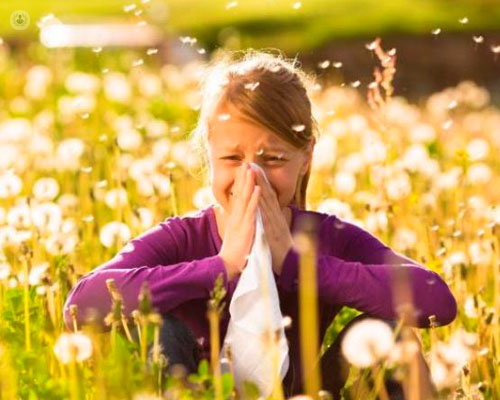 La rinoconjuntivitis y el asma alérgico son los síntomas más comunes de alergia - Top Doctors