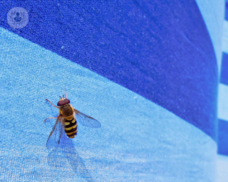 Alergia a las abejas