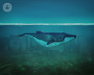 El peligro del juego de la ballena azul