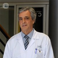 Dr. Juan Carlos García-Valdecasas Salgado