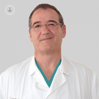 Dr. Jesús Mudarra García