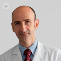 Dr. Fernando Rotellar Sastre