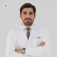 Dr. Javier Alonso Sanz