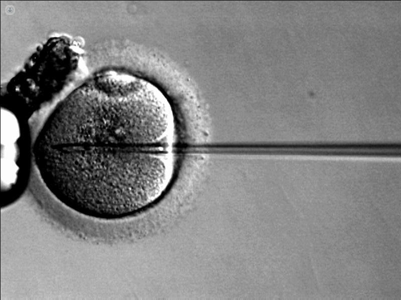 Motivos por los que congelar embriones | Top Doctors