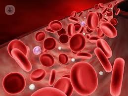 La sangre | Hematólogo - Murcia