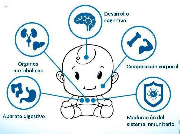 Lactancia: alimentación complementaria | Pediatría - Zaragoza