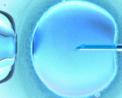 Vitrificación, congelación de ovocitos y embriones